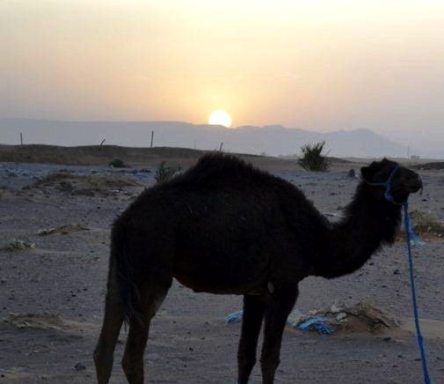 _DSC1573 (FILEminimizer) - Copy