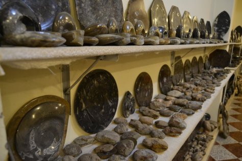 _DSC1592 (FILEminimizer)