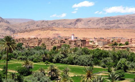 _DSC1628 (FILEminimizer)