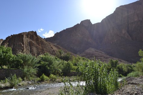 _DSC1738 (FILEminimizer)