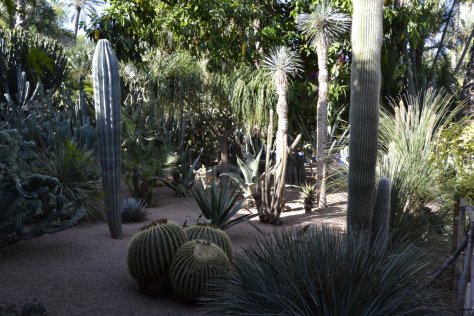 _DSC1845 (FILEminimizer)