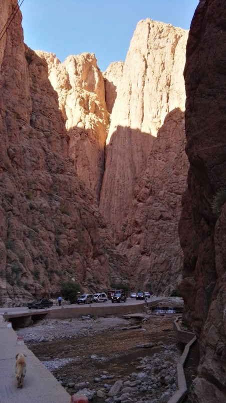 IMG_20170427_165210 (FILEminimizer)