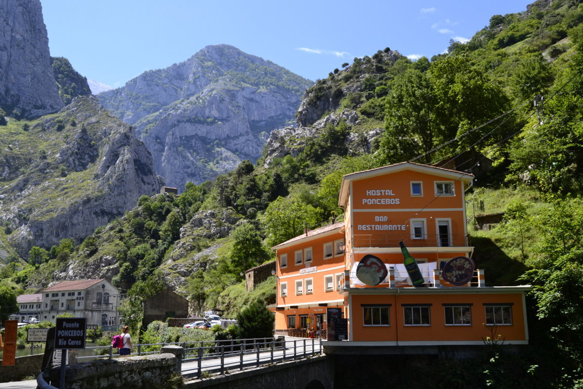 _DSC0495 (FILEminimizer)