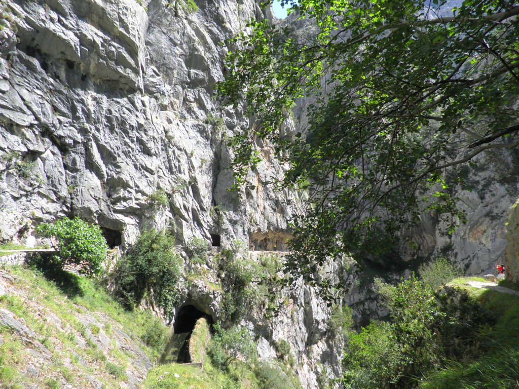 P7230354 (FILEminimizer)