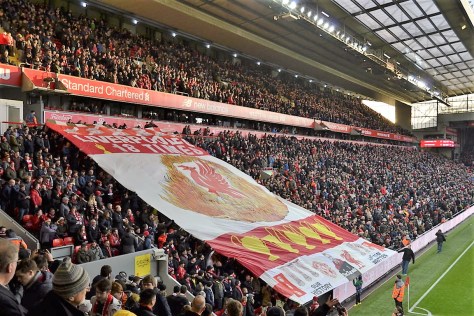 _DSC1091 (FILEminimizer)