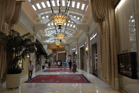 _DSC1183 (FILEminimizer)