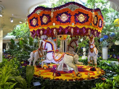 _DSC1185 (FILEminimizer)