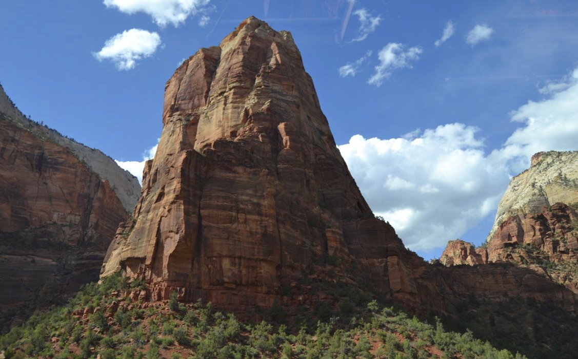 _DSC1217 (FILEminimizer)