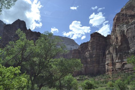 _DSC1221 (FILEminimizer)