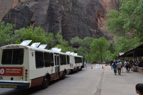 _DSC1228 (FILEminimizer)