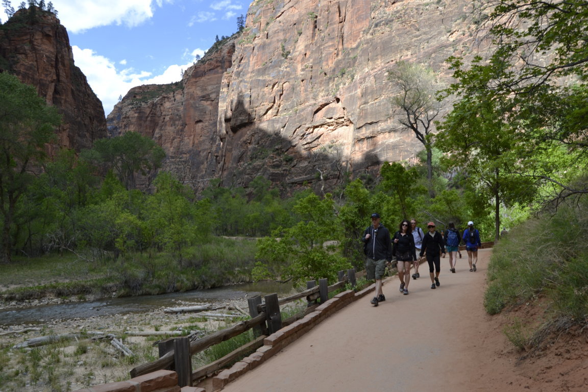 _DSC1230 (FILEminimizer)