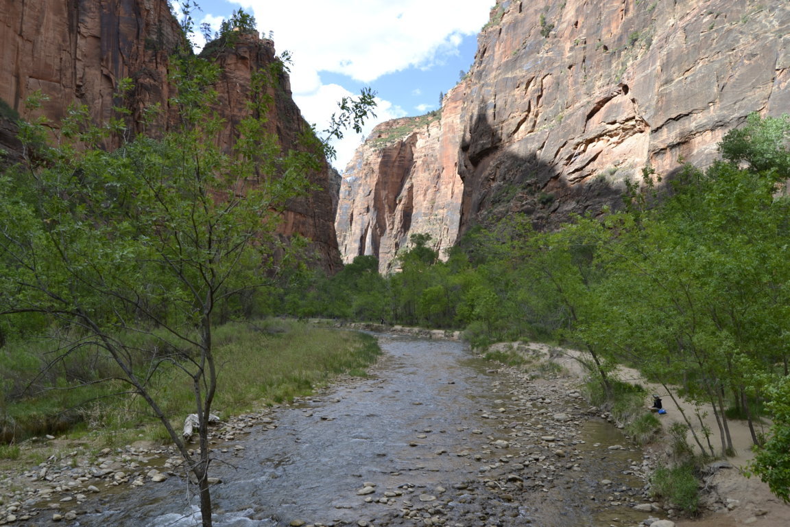 _DSC1231 (FILEminimizer)