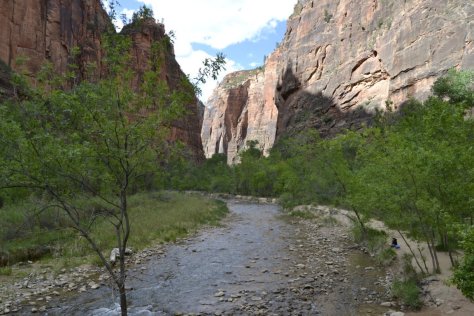 _DSC1231 (FILEminimizer)