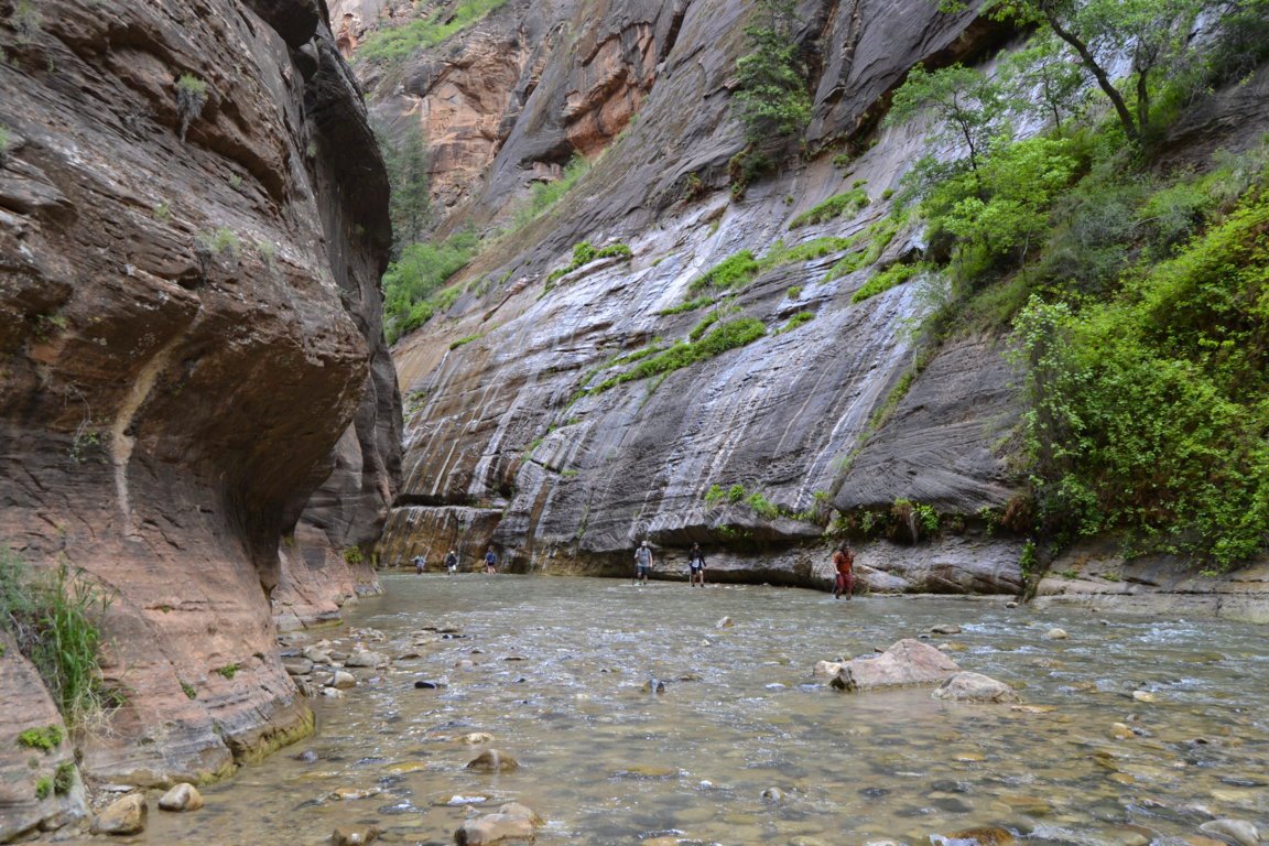 _DSC1243 (FILEminimizer)