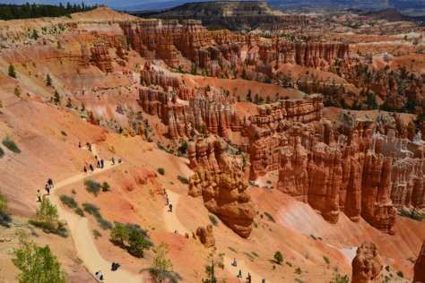 _DSC1279 (FILEminimizer)