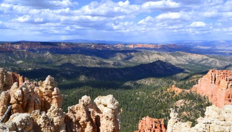 _DSC1317 (FILEminimizer)