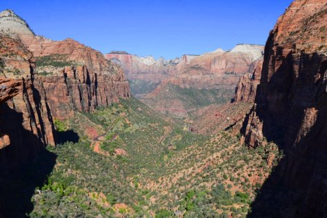 _DSC1334 (FILEminimizer)