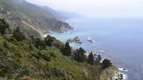 _DSC1504 (FILEminimizer)