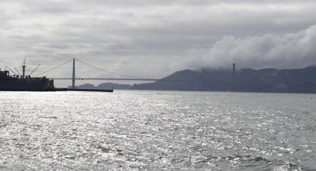 _DSC1544 (FILEminimizer)