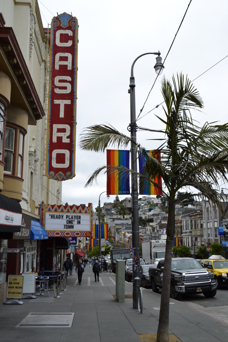 _DSC1586 (FILEminimizer)