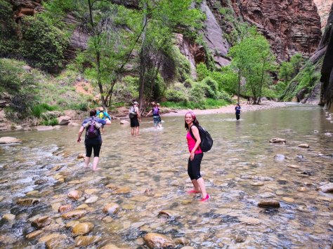 IMG_20180513_170412 (FILEminimizer)