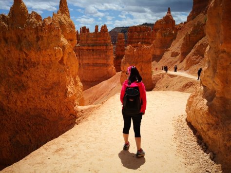 IMG_20180514_125156 (FILEminimizer)