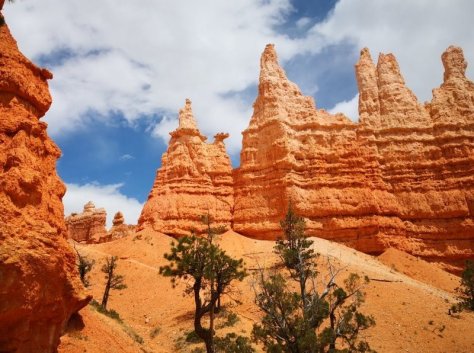 IMG_20180514_140729 (FILEminimizer)