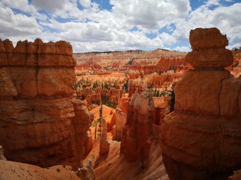 IMG_20180514_143246 (FILEminimizer)