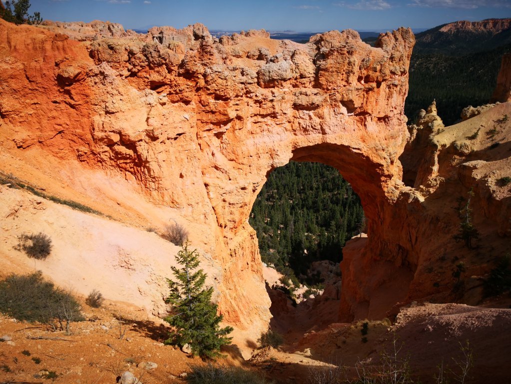 IMG_20180514_163120 (FILEminimizer)