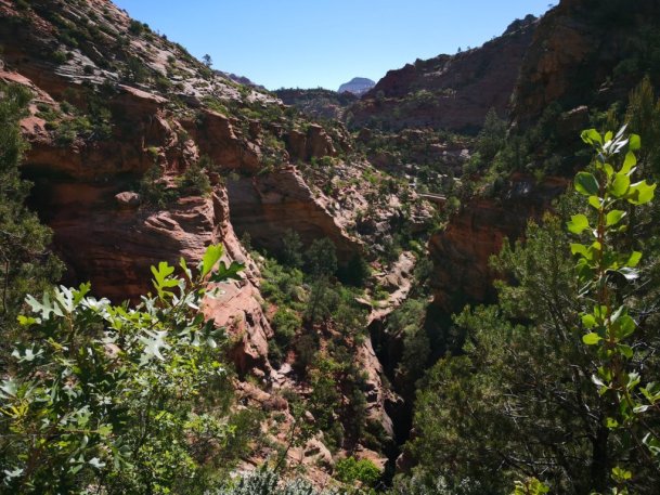 IMG_20180515_095212 (FILEminimizer)