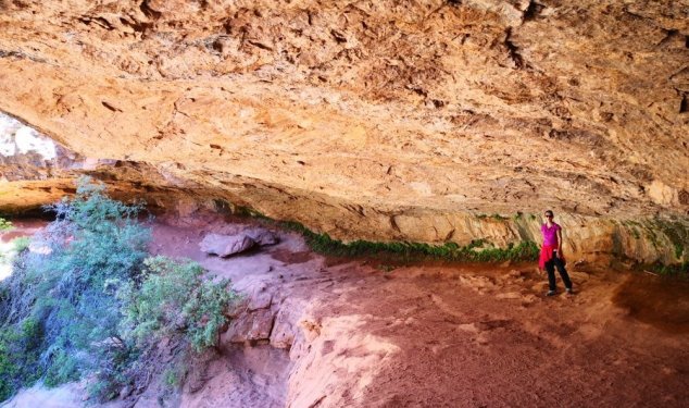 IMG_20180515_095436 (FILEminimizer)