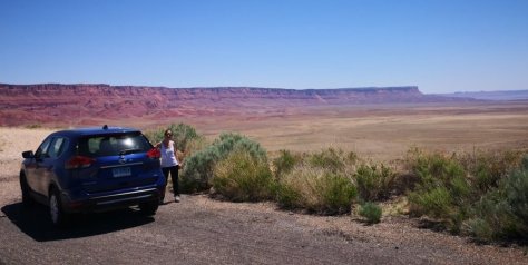 IMG_20180515_120319 (FILEminimizer)