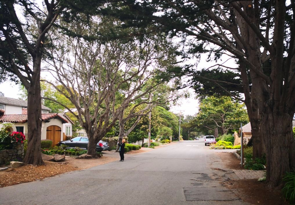 IMG_20180521_181053 (FILEminimizer)