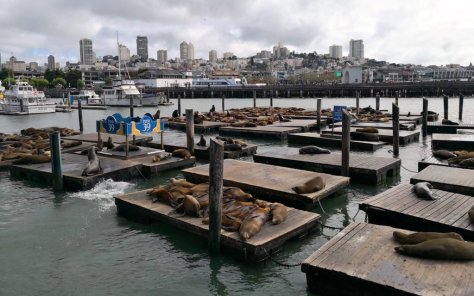 IMG_20180523_164400 (FILEminimizer)