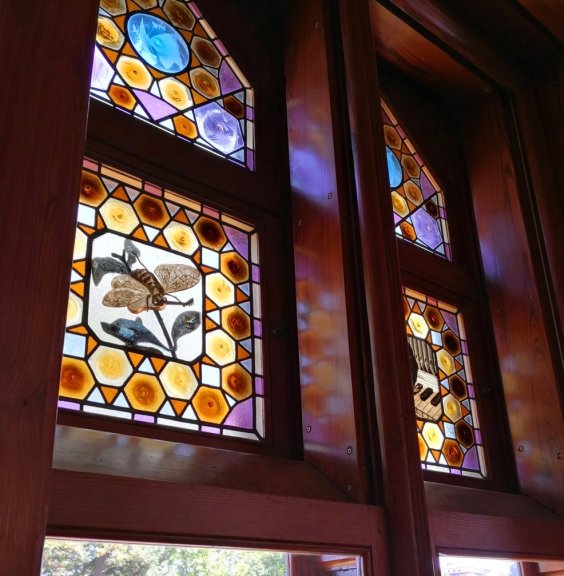 IMG_20180811_122527 (FILEminimizer)