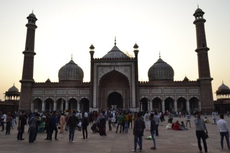 _DSC0016 (FILEminimizer)