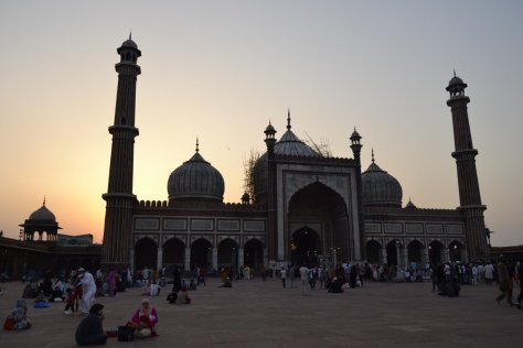 _DSC0040 (FILEminimizer)