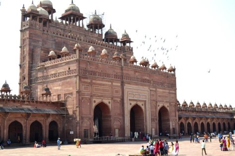 _DSC0223 (FILEminimizer)