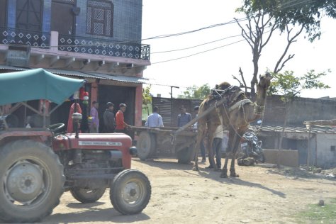 _DSC0234 (FILEminimizer)