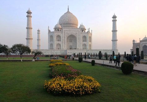 IMG_20190310_065403 (FILEminimizer)