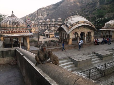 IMG_20190310_175732 (FILEminimizer)