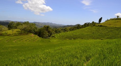 _DSC0530 (FILEminimizer)