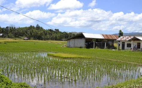 _DSC0538 (FILEminimizer)