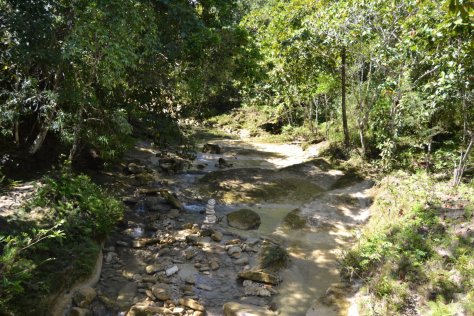 DSC_0522 (FILEminimizer)