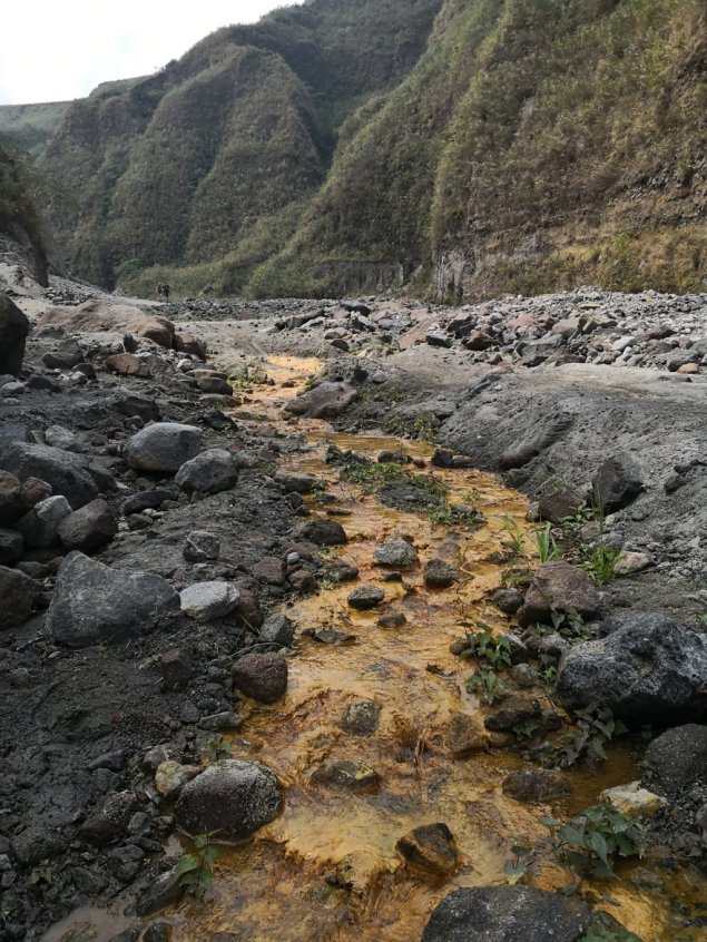 IMG_20190313_104121 (FILEminimizer)