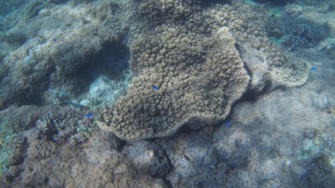 IMG_20190315_014243_0053 (FILEminimizer)