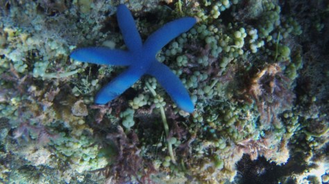 IMG_20190315_014858_0064 (FILEminimizer)