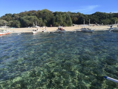 IMG_20190315_073801 (FILEminimizer)