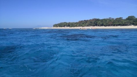 IMG_20190315_075732 (FILEminimizer)