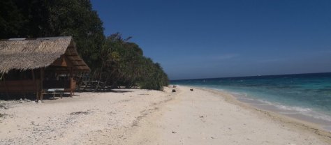 IMG_20190315_092356 (FILEminimizer)